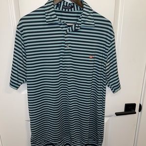 Large Southern Marsh Polo